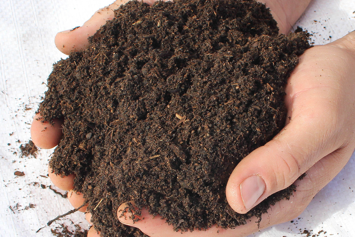 Ericaceous Compost Premium Topsoil Supplies